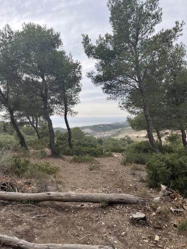 a dirt road with trees on the side of a hill at Studio calme entre Aix et Marseille in Les-Pennes-Mirabeau