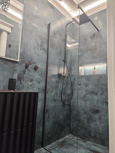 a shower with a glass door in a bathroom at Apartament Twin II in Żywiec