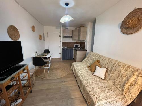 un salon avec un canapé et une télévision dans l'établissement T2 les patios de la mer saint cyprien, à Saint Cyprien Plage
