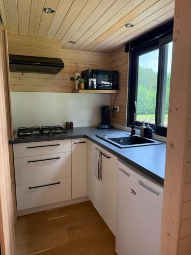 Η κουζίνα ή μικρή κουζίνα στο Nouveau! La cabane du meunier