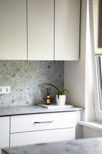 a kitchen with white cabinets and a plant on a counter at Apartamentai Akvilė in Šilutė