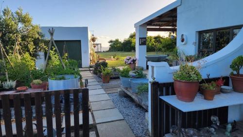 a garden with potted plants on a patio at The smallest farm in Africa ELGIN in Grabouw