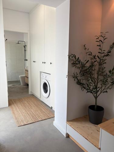 a laundry room with a washing machine and a plant at Casas do Mercado, 3 in Montemor-o-Novo