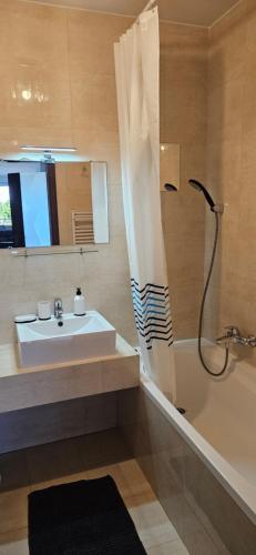 a bathroom with a sink and a shower and a tub at Apartament 1000-lecia in Władysławowo