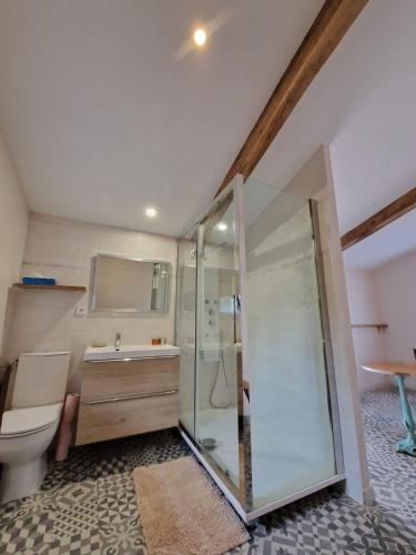 une salle de bain avec une douche, des toilettes et un lavabo dans l'établissement Dependance, à Touvre