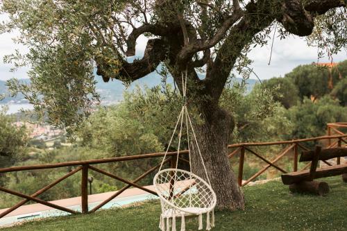 a white chair sitting in front of a tree at Casolare Cento Ulivi Luxury & Charme - Villa exclusive use in Ascea