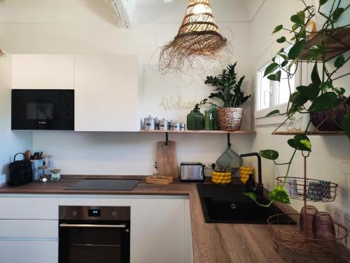 une cuisine avec des armoires blanches et de nombreuses plantes dans l'établissement Bel Appartement plein centre avec Balcon, clim, au Plan-de-la-Tour