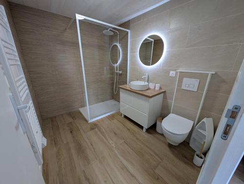une salle de bain avec toilettes, lavabo et douche dans l'établissement Maison de campagne 4 couchages avec piscine et lacs, à Sainte-Radegonde