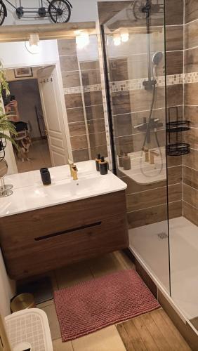une salle de bain avec un lavabo et une douche dans l'établissement logement 4 couchages dbl parking PROCHE STADE, à Marseille