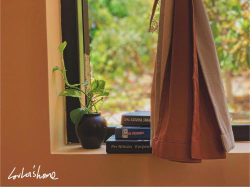 Κήπος έξω από το LoiLoi's Home - Mui Ne