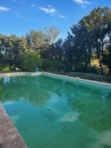 une piscine d'eau et d'arbres bleu clair dans l'établissement La Bonne Adresse - Gite ZENITUDE, à Cornillon-Confoux