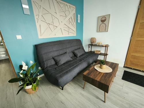 Gambar di galeri bagi Appartements en bord de Cher di Montrichard