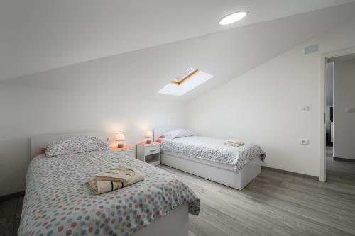 Apartment Orhidea in a peaceful setting near Umag