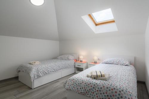 Apartment Orhidea in a peaceful setting near Umag