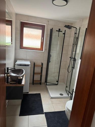a bathroom with a shower and a toilet and a sink at Cozy apartment in Sankt Goar
