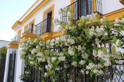 Κήπος έξω από το Villa Marcel