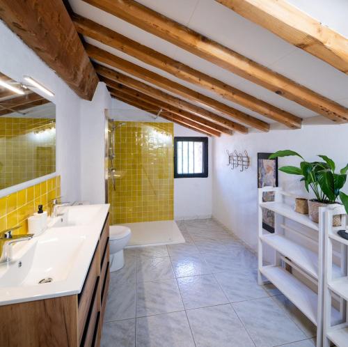 une salle de bain avec un lavabo et des toilettes dans l'établissement Grand mas catalan en pleine nature avec piscine, à Céret