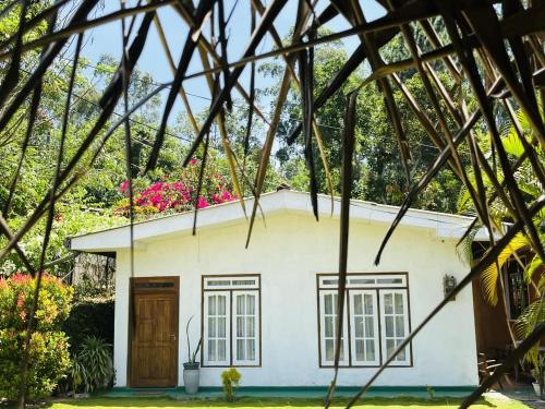 NikawatawanaにあるBloom house homestayの小さな白い家屋