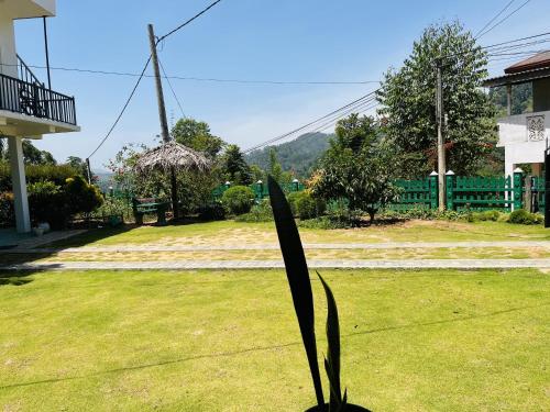 NikawatawanaにあるBloom house homestayの庭の芝生にある黒い物体