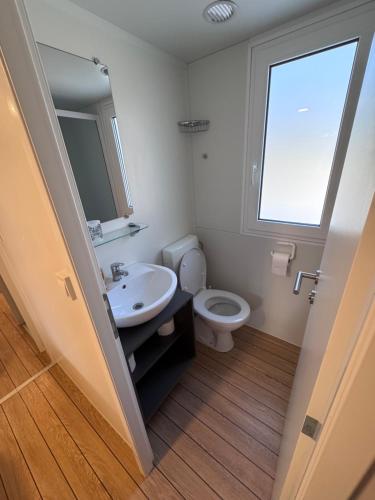Mobile Home Nelly 829