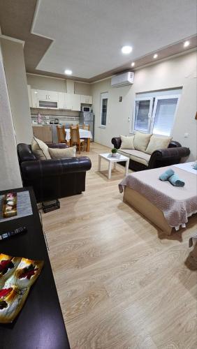Zona d'estar a Ramonda Apartment