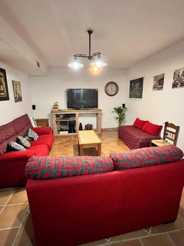 Basement with barbecue and patio