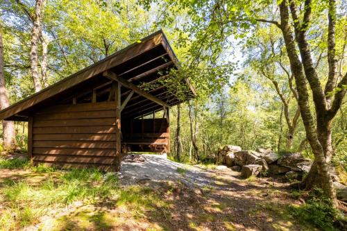 a small wooden building in the middle of a forest at Large luxurious apartment with private terrace and parking in Bergen