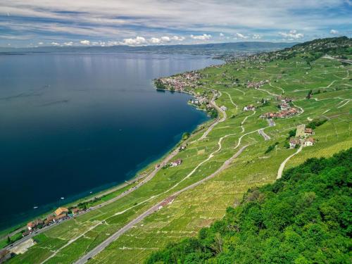 an aerial view of a large body of water at Les Terrasses de Lavaux-2 Appartement de Luxe avec Vue Panoramique et Piscine" in Chexbres