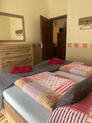 a bedroom with two beds and a large mirror at Villa Gracia Podhájska in Podhájska