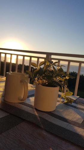 two coffee mugs sitting on a balcony with a plant at Jakaranda 22 apartment, Uvongo in Uvongo Beach