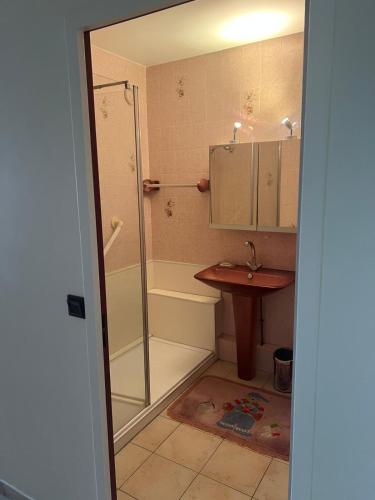une salle de bain avec douche et lavabo dans l'établissement Le Cannet Rocheville grand 3 pieces 2 terrasses, au Cannet