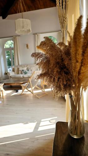 un vase avec des fleurs séchées sur une table dans le salon dans l'établissement Maison Essentielle, à Tournon-sur-Rhône
