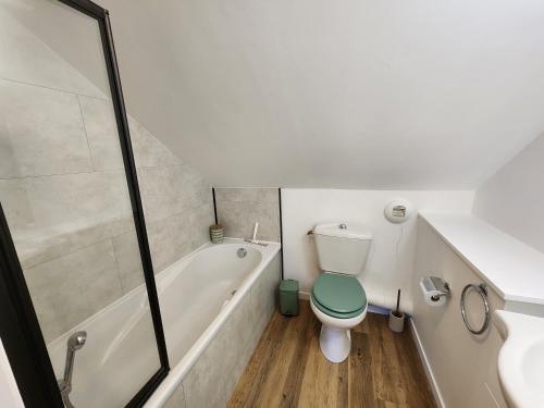 a bathroom with a toilet with a green lid at Chalet 6 à 8pers pied des pistes, piscine et vue in Saint-François-Longchamp