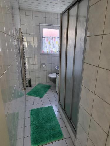 a bathroom with green mats on the floor and a shower at Bodensee Idylle in Friedrichshafen