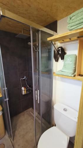 a small bathroom with a shower and a toilet at A Cabaña do Cumiar in Ponteareas