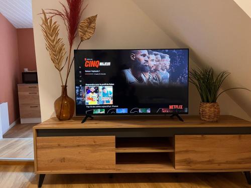 a flat screen tv sitting on top of a wooden entertainment center at Cocon Jungle Hyper Centre in La Côte-Saint-André
