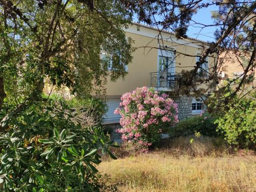 a house with pink flowers in front of it at VILLA PROCHE de la PLAGE, VUE MER avec PARKING in LʼÎle-Rousse