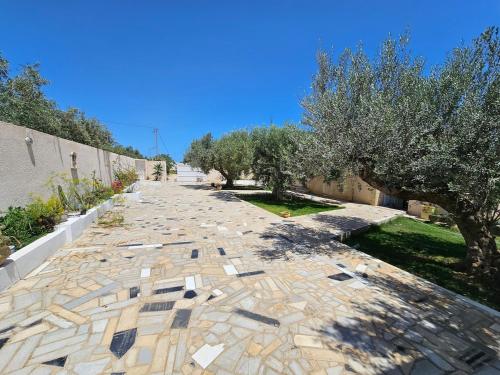 a cobblestone street with trees on each side at Dar Nawara 3bedroom Villa with pool and amazing garden in Tazarka