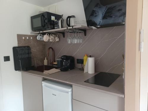 une cuisine avec un comptoir avec un micro-ondes dans l'établissement Le Refuge Des Loups, à Biziat