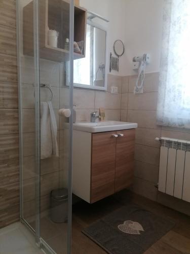 a small bathroom with a sink and a shower at Casa rosa degli Abruzzo in Musellaro