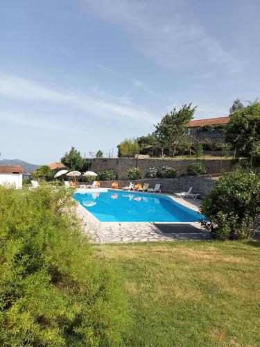 a swimming pool in the middle of a yard at Resort Quinta do Sameiro in Vieira do Minho