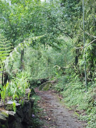 Landskap semula jadi dekat dengan lodge
