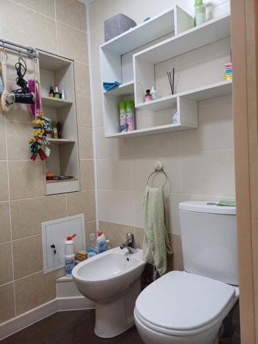 ein Badezimmer mit Toilette und Waschbecken in der Unterkunft 2х комнатная in Zhezdi