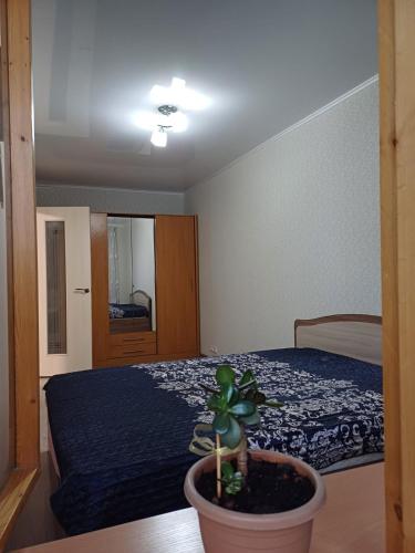 ein Schlafzimmer mit einem Bett und einer Topfpflanze in der Unterkunft 2х комнатная in Zhezdi