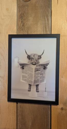 a picture of a bull reading a newspaper at Joli Appartement cosy in Guny