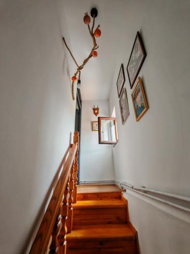 PolomにあるRenarde House Rajacのギャラリーの写真