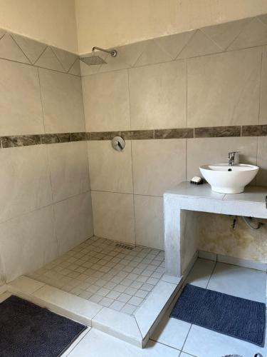 a bathroom with a sink and a toilet and a shower at Ingonyama Rest in Marloth Park