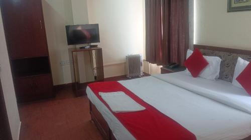 a bedroom with a large bed and a television at Hotel Simla Palace in Lucknow