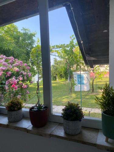Jardín al aire libre en Kućerak kraj Dunava