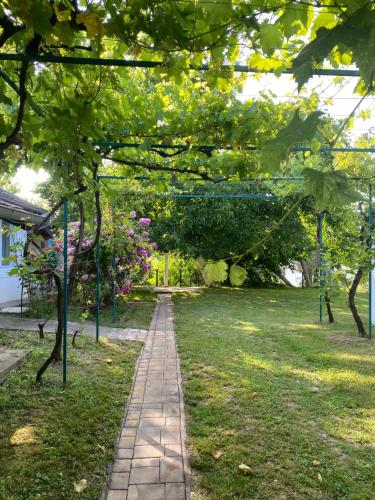 Jardín al aire libre en Kućerak kraj Dunava